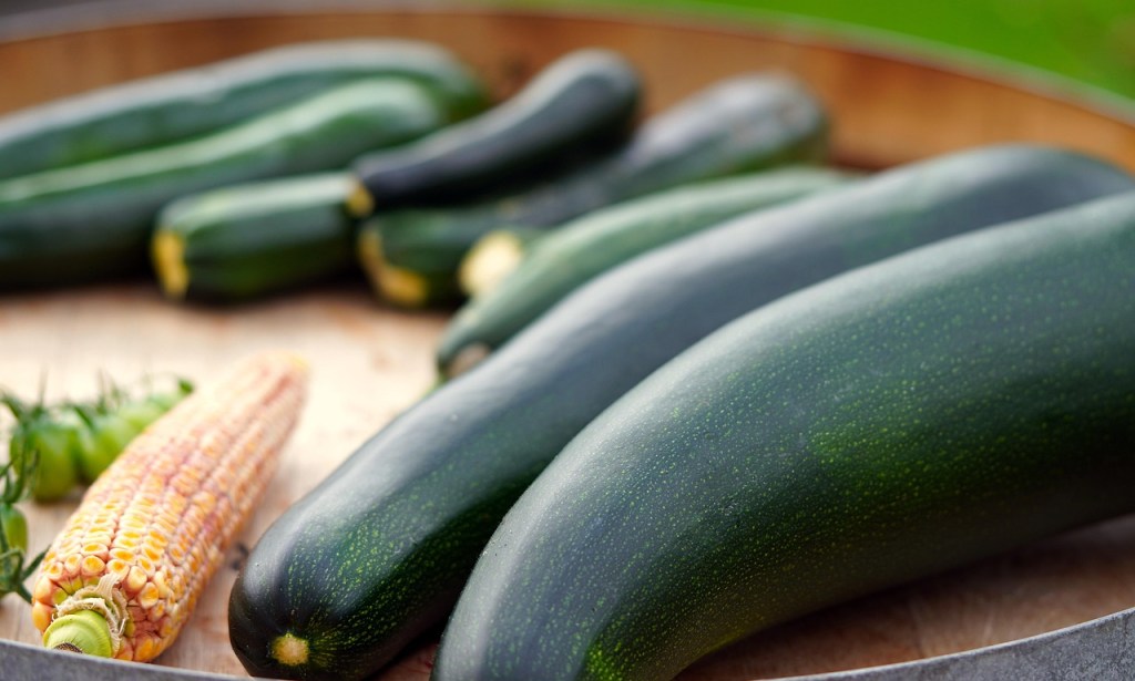 23 Rezepte für Zucchini – schnell, einfach und&nbsp;gesund