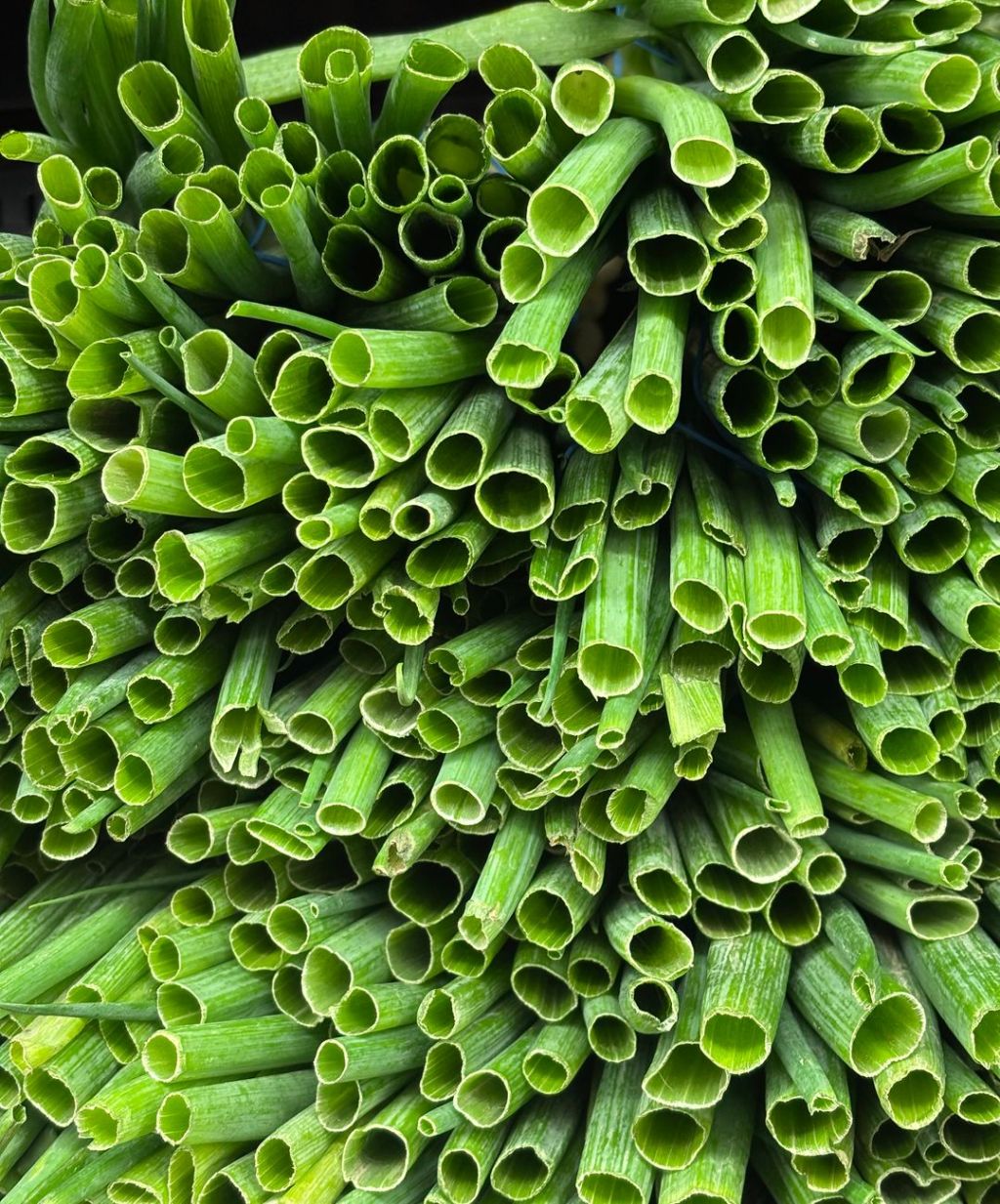 Regrowing für Anfänger: 18 Gemüsesorten, die aus Küchenresten&nbsp;nachwachsen
